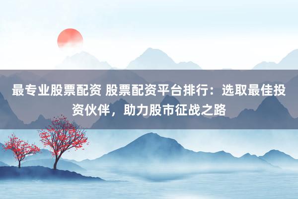 最专业股票配资 股票配资平台排行：选取最佳投资伙伴，助力股市征战之路