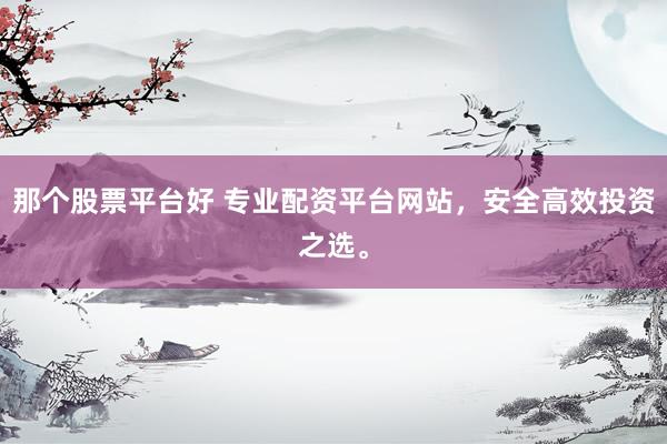 那个股票平台好 专业配资平台网站，安全高效投资之选。