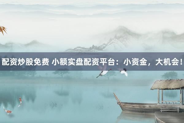 配资炒股免费 小额实盘配资平台：小资金，大机会！