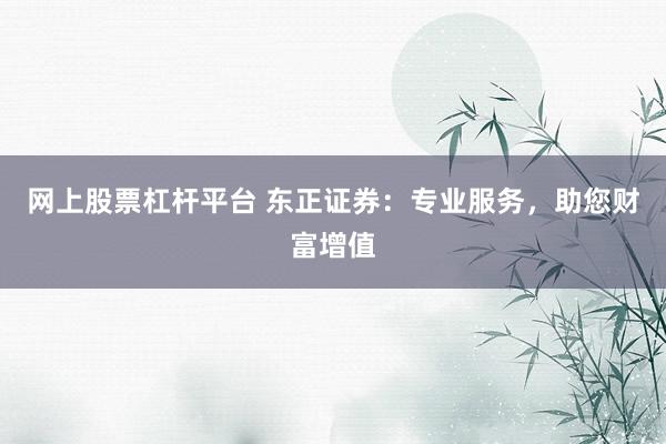 网上股票杠杆平台 东正证券：专业服务，助您财富增值