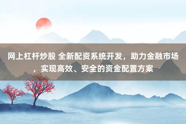 网上杠杆炒股 全新配资系统开发，助力金融市场，实现高效、安全的资金配置方案