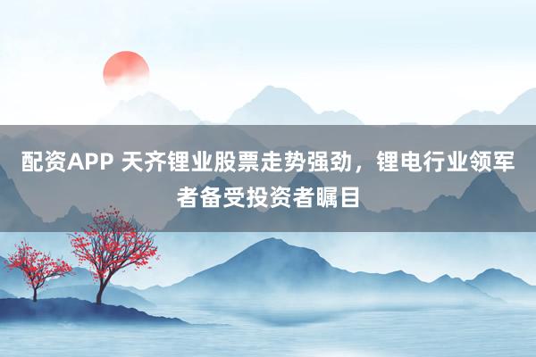 配资APP 天齐锂业股票走势强劲，锂电行业领军者备受投资者瞩目