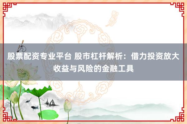 股票配资专业平台 股市杠杆解析:借力投资放大收益与风险的金融工具