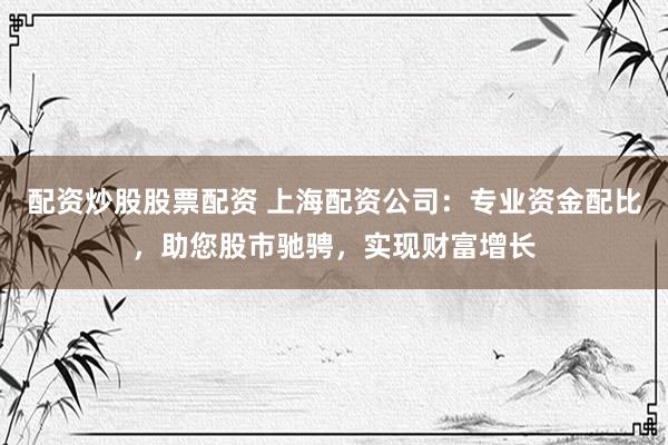 配资炒股股票配资 上海配资公司：专业资金配比，助您股市驰骋，实现财富增长