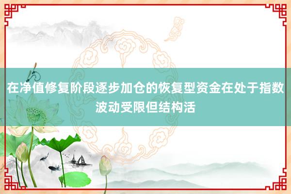 在净值修复阶段逐步加仓的恢复型资金在处于指数波动受限但结构活