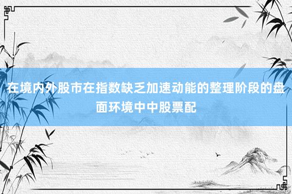 在境内外股市在指数缺乏加速动能的整理阶段的盘面环境中中股票配