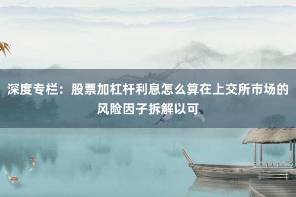 深度专栏：股票加杠杆利息怎么算在上交所市场的风险因子拆解以可