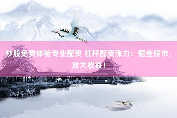 炒股免费体验专业配资 杠杆配资涨力：掘金股市，放大收益！