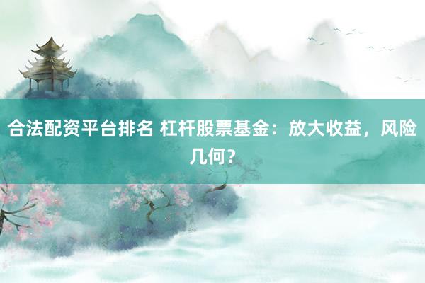合法配资平台排名 杠杆股票基金:放大收益,风险几何?
