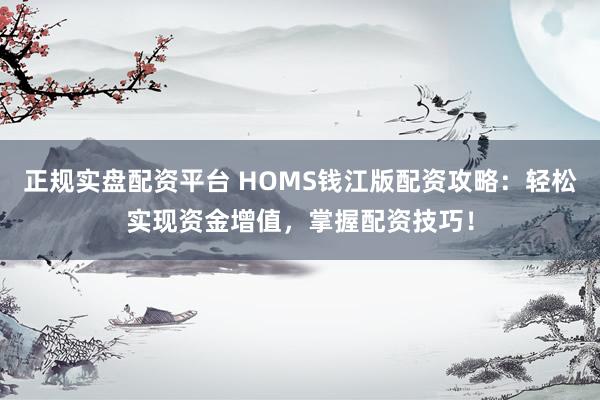 正规实盘配资平台 HOMS钱江版配资攻略：轻松实现资金增值，掌握配资技巧！